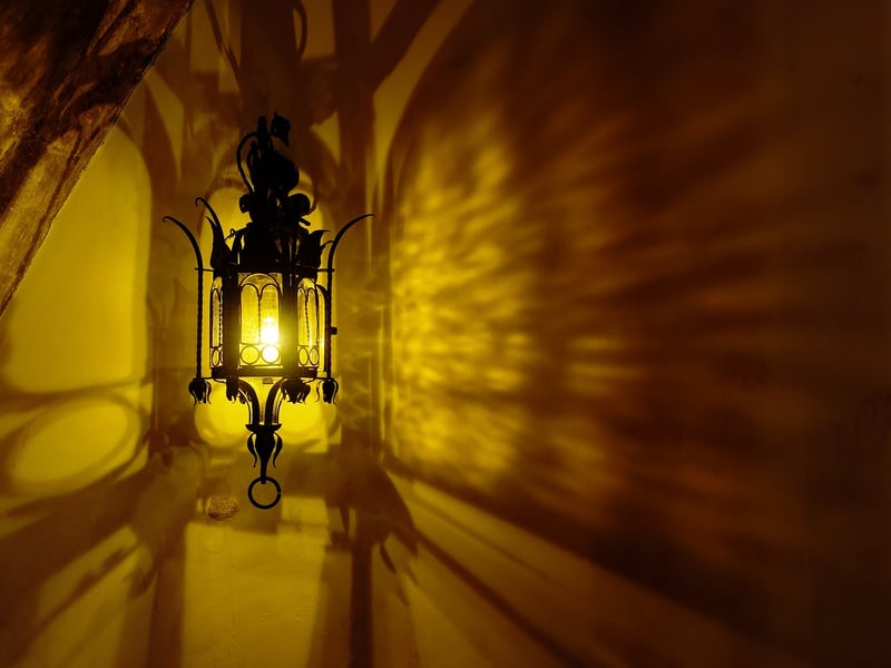 Clandestine Revelations